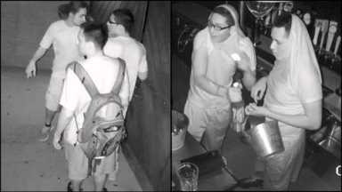 beer-garden-burgalry-suspects