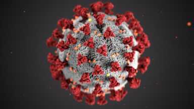 coronavirus_cd2484