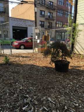 dirt1-e1464290258430