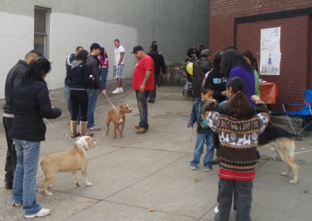 dog-adoptions-450×318-1