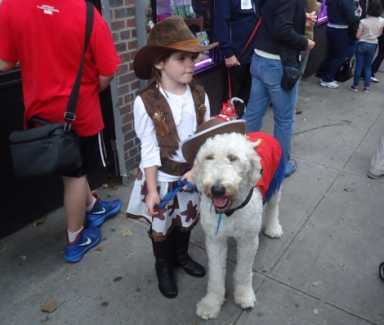 dog-parade