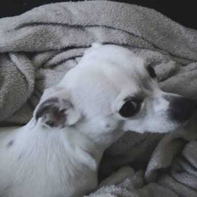 facebook-e1489679135637