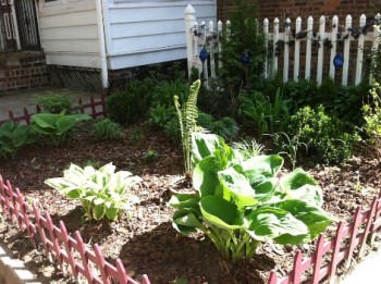 gardenbefore-350×261-1