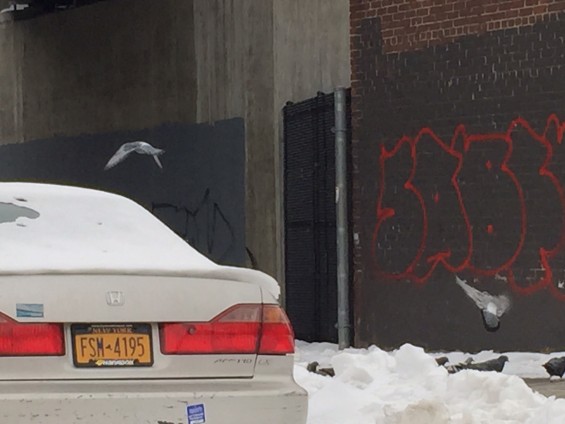 Barnett Ave., 43rd Street