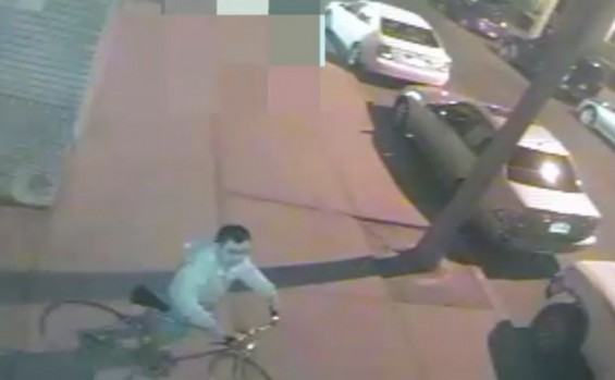 groper-picture-e1429885403527