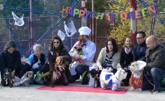 halloween winners