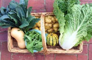 img_0752-e1458846142942