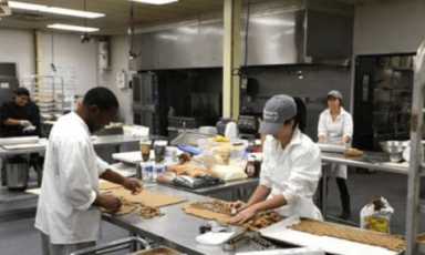 incubator-475×2851-1