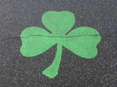 irish-clover-ann-LawY0Z_aACM-unsplash
