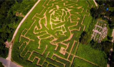 maze