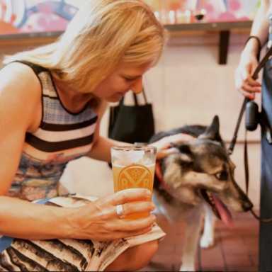 pupcrawl-1-e1508788275644