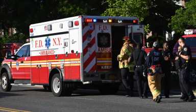 A 38-year-old Long Island City woman was struck and killed by an unlicensed van driver in Dutch Kills on Sunday, Aug. 31.