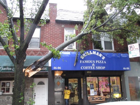 storm-skill-tree-e1351553140343