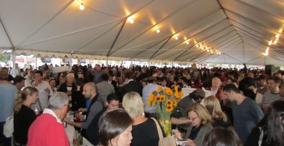 taste.jpg.1100x530_q85_crop-e1496682080291