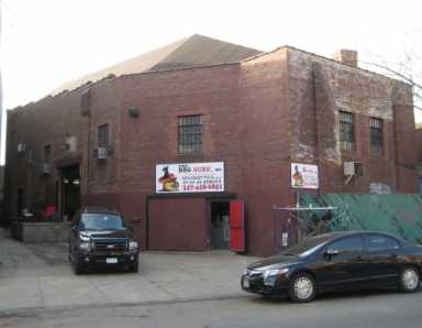 thedogguru-500×389-2