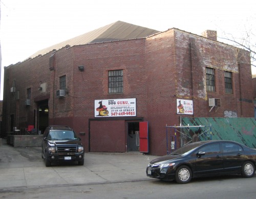 thedogguru-500×389-2