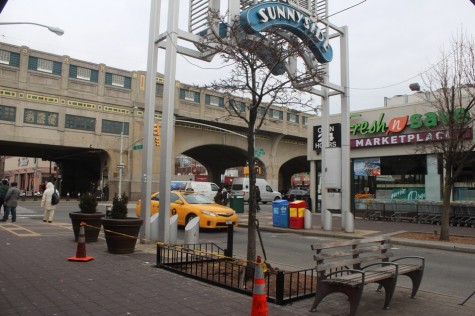 tree-guards1-475×316-1