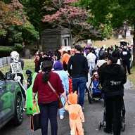 maple grove cemetery