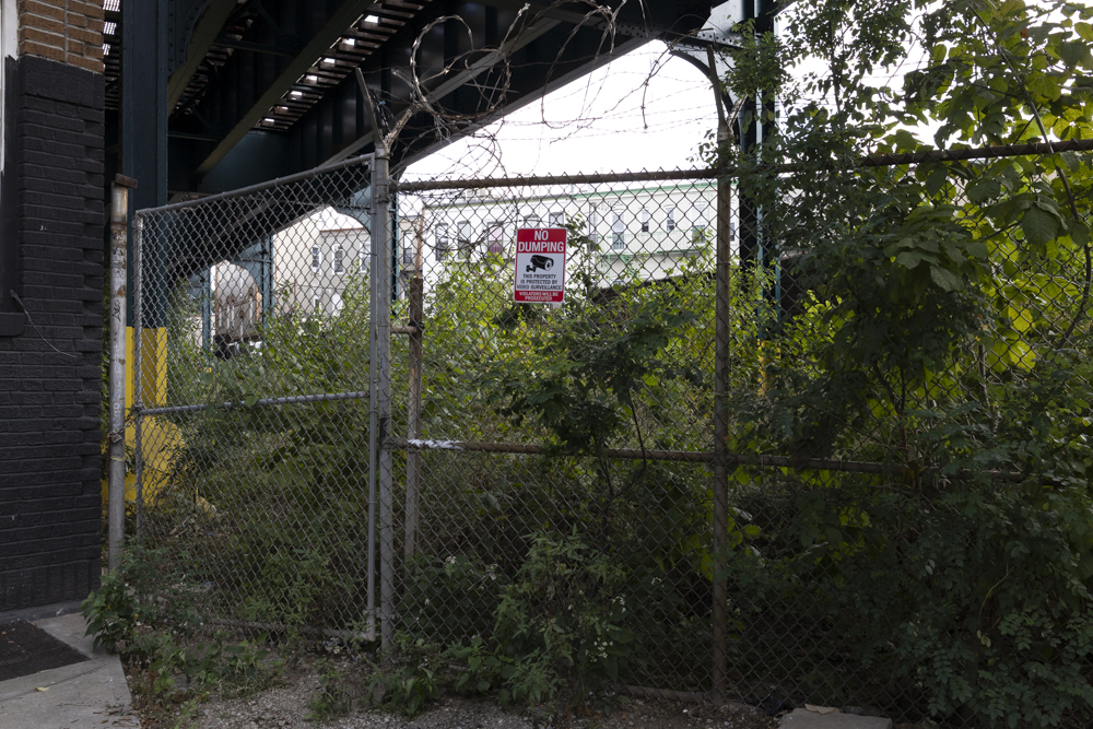 An overgrown area underneath the M train on Woodbine Street where the Ridgewood Busway would be built.