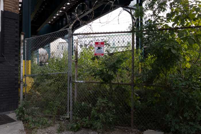 An overgrown area underneath the M train on Woodbine Street where the Ridgewood Busway would be built.