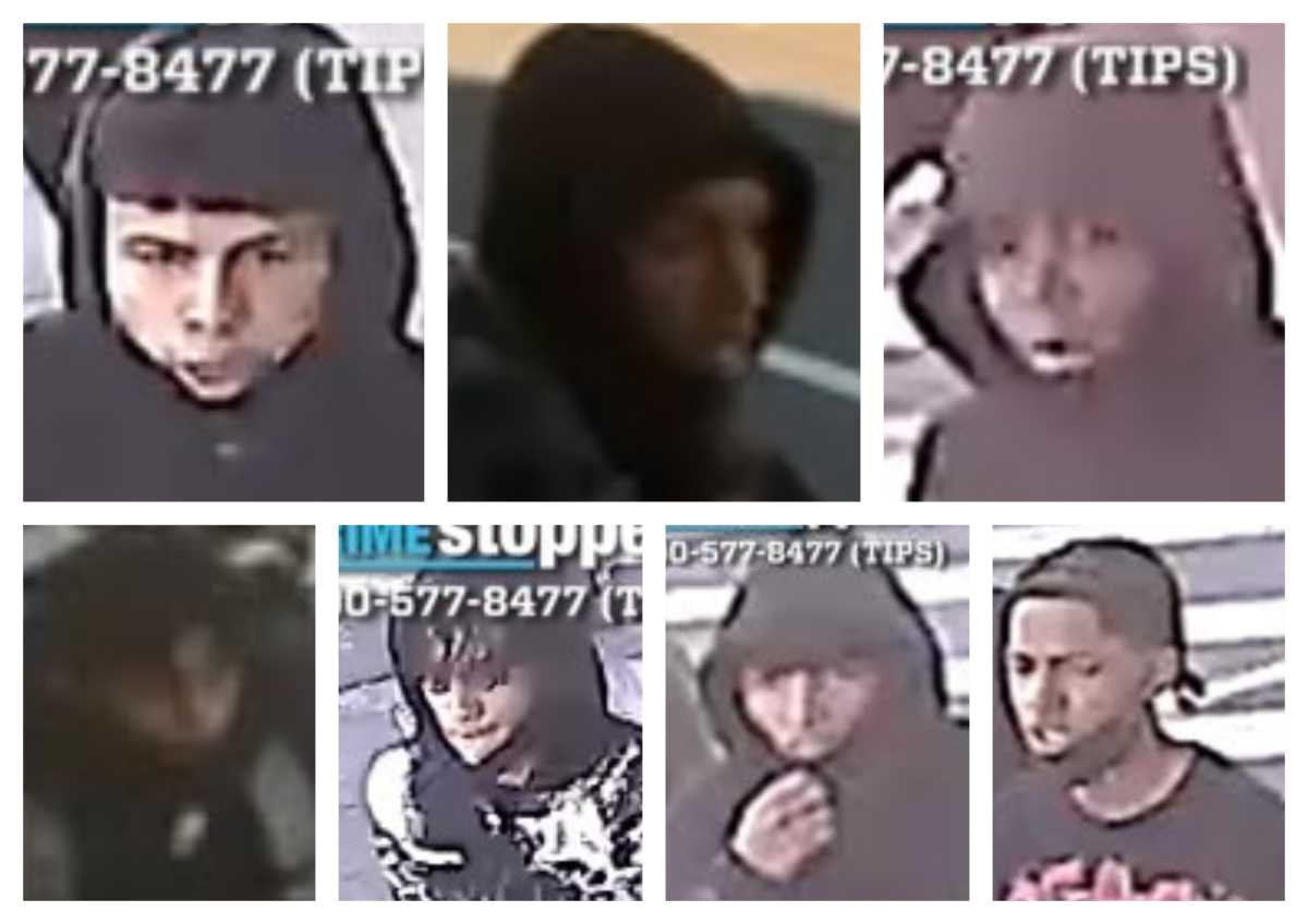 Cops are looking for these seven suspects and a half dozen more who allegedly took part in a gang assault in Jamaica Hills that left a 15-year-old boy critically injured.