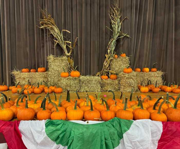 Image via Council Member Joann Ariola.