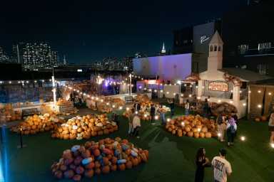 pumpkin patch