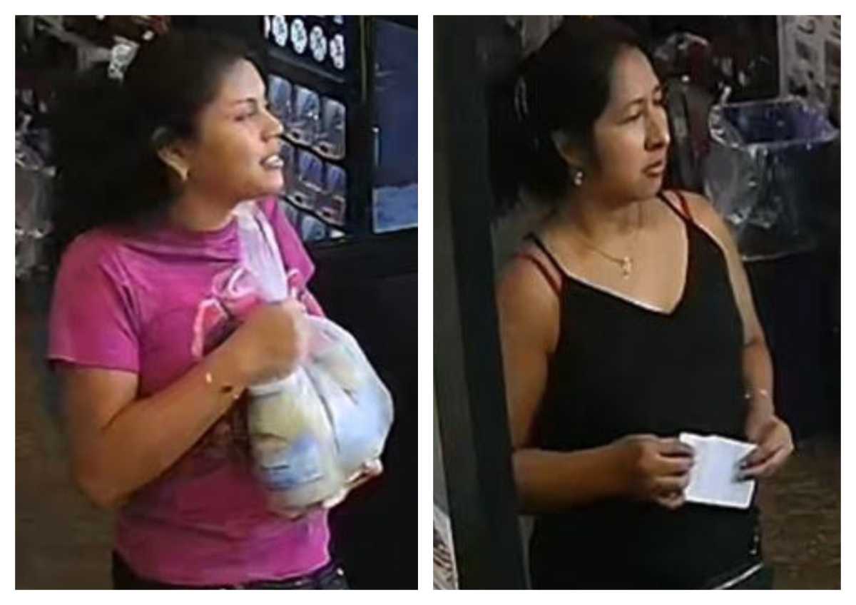 Cops are looking for these purse snatchers who allegedly grabbed a shopper's handbag from her shopping cart when her attention was diverted at a Ridgewood Food Bazaar.