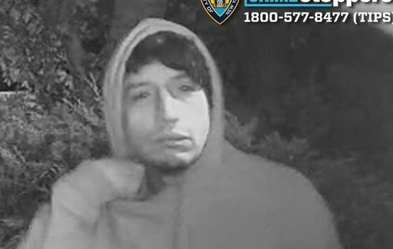 suspect-steals-cool-whip-breezy-point-bu