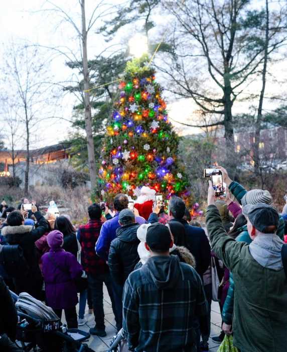 Queens Botanical Garden