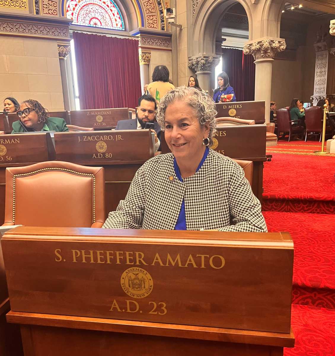AM Pheffer Amato announces she will not seek re-election representing the Rockaways and South Queens in 2026 - QNS