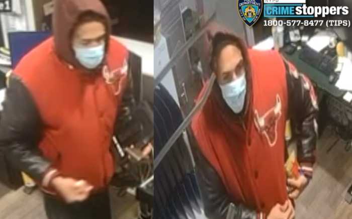 burglar-cunningham-park-fresh-meadows01