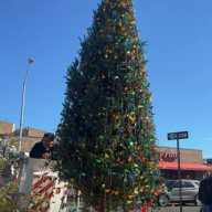 The 30th Avenue Christmas tree will illuminate the corridor after a ceremony on Wednesday night. Photo courtesy of 30th Avenue Business Association.