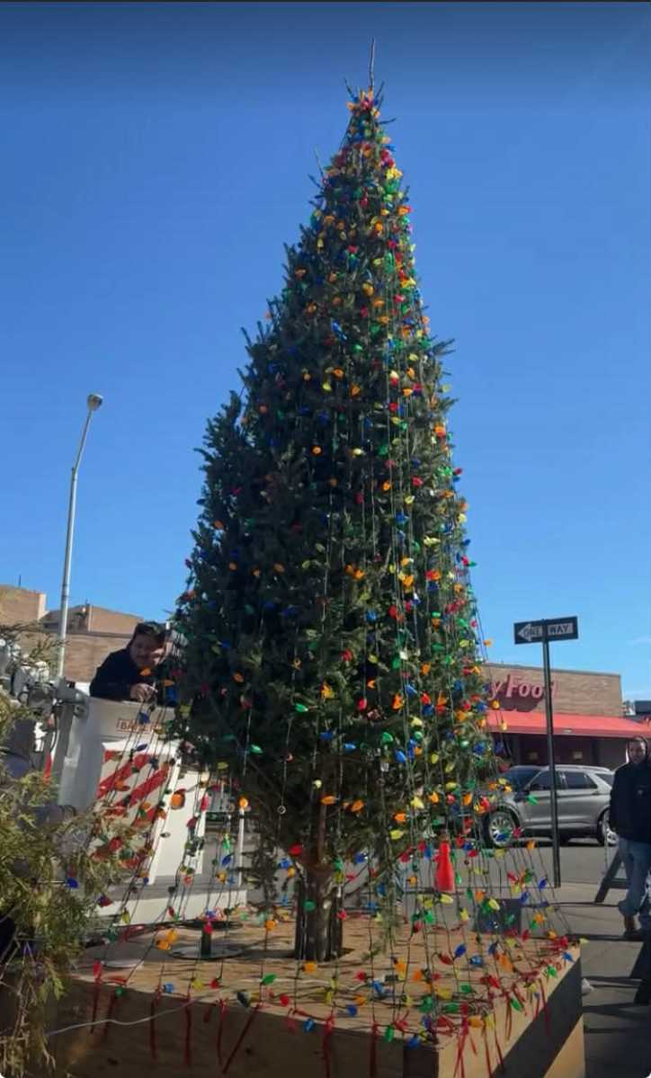 The 30th Avenue Christmas tree will illuminate the corridor after a ceremony on Wednesday night. Photo courtesy of 30th Avenue Business Association.