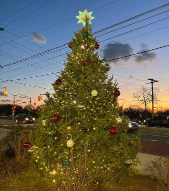 The Ozone Park Christmas tree in 2024. Photo courtesy of Council Member Joann Ariola.