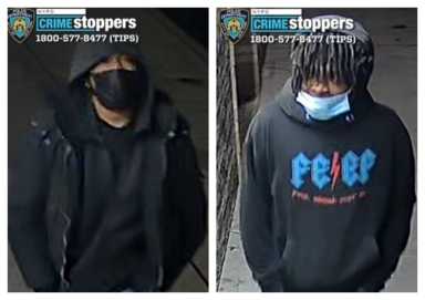 muggers-springfield-gardens01