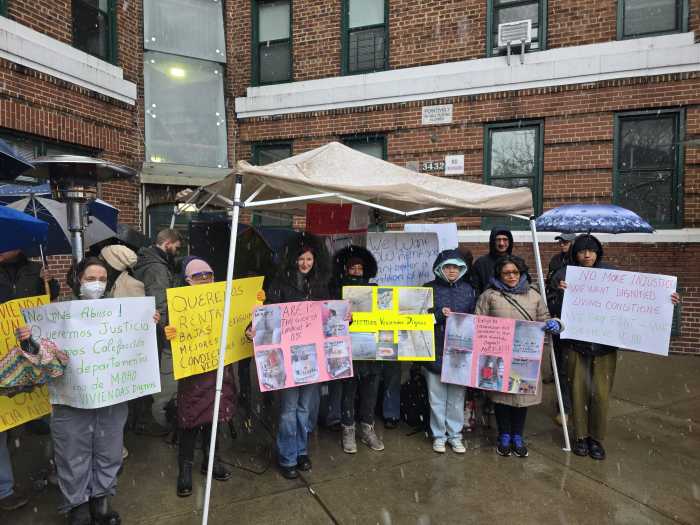 Photo by Shane O'Brien.