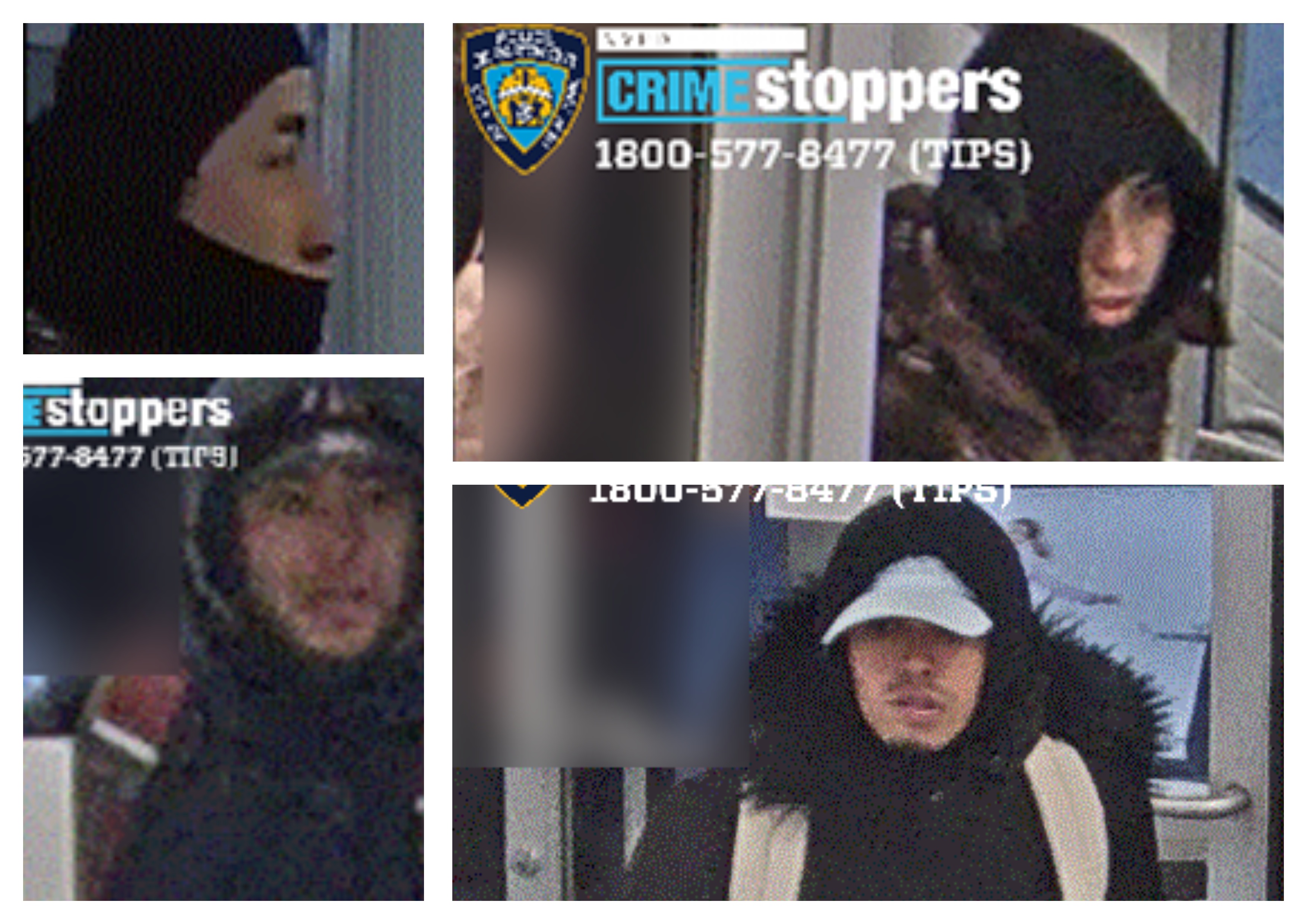 Cops are searching for four suspects who allegedly stole perfume and sneakers worth more than $5,000 from stores in Flushing in three incidents so far this month.