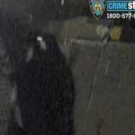 Cops are looking for this suspect for allegedly stealing $34,000 worth of trading cards in a violent robbery in Corona and a burglary the following night a couple of blocks away.