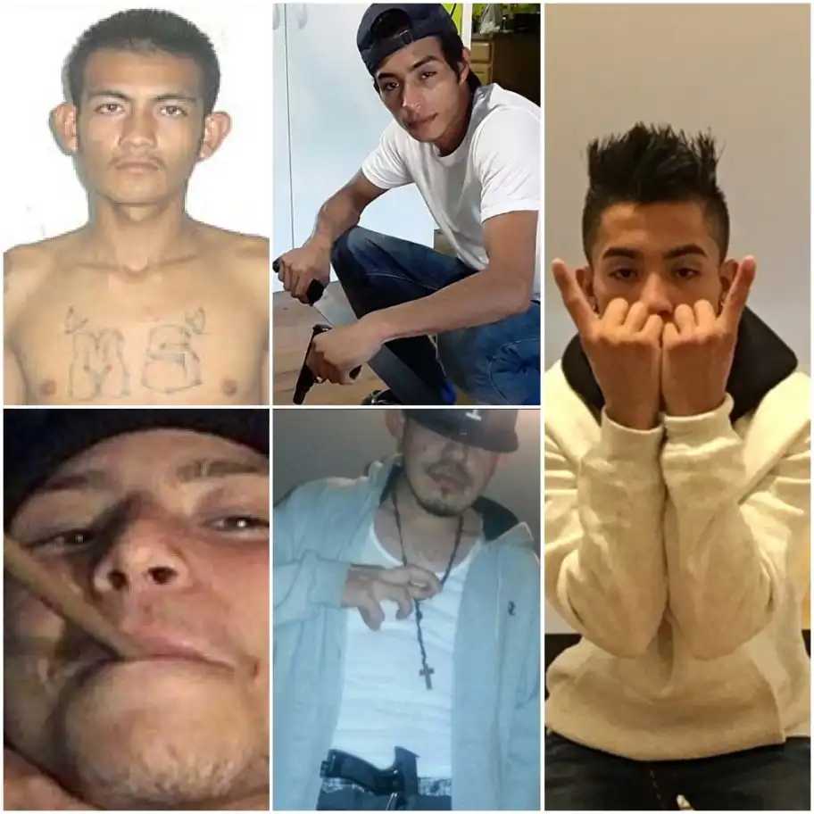 The U.S. Attorney's Office for the Eastern District has secured convictions against hundreds of MS-13 members on federal felony charges since 2003. 